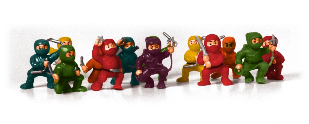 little toy ninjas