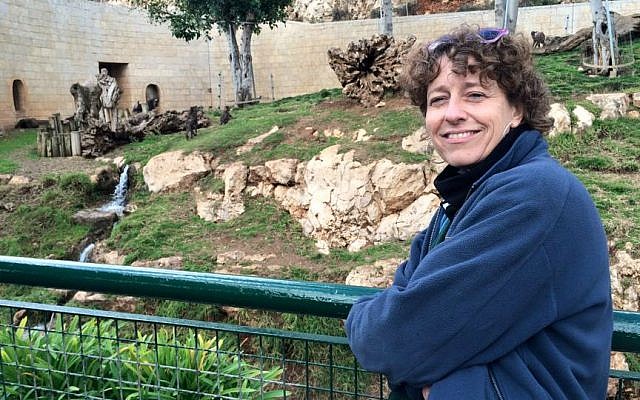 Jerusalem Biblical Zoo head veterinarian and zoological director Nili Avni-Magen stops at mandrill habitat as she checks on preparations for snowstorm. January 5, 2015. (photo credit: Renee Ghert-Zand/Times of Israel)