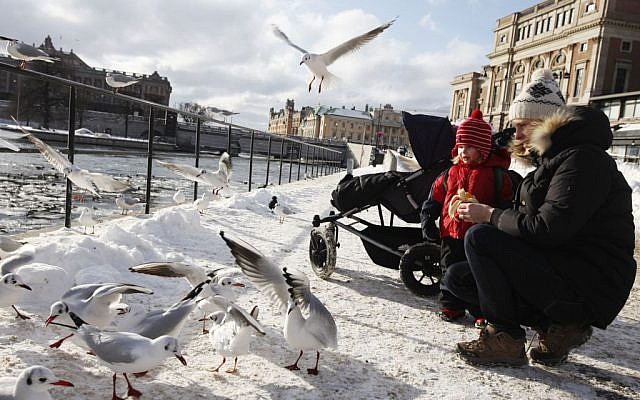 A woman and her son feed birds in Stockholm, Sweden on February 15, 2011. (Photo credit: Miriam Alster/Flash90)