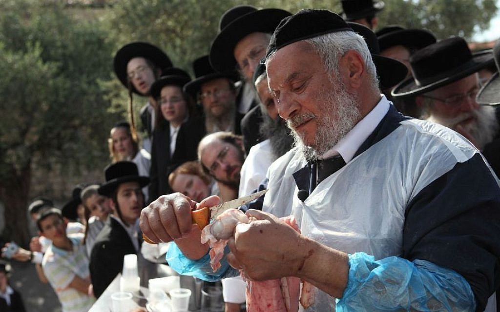 Illustrative image of a demonstration of a ritual goat slaughter for ultra-Orthodox Jewish students in Zichron Moshe, on April 26, 2011. (Yaakov Naumi/Flash90)