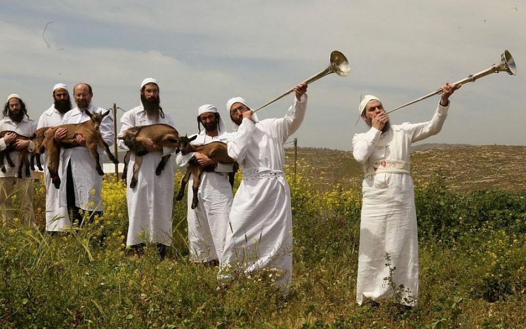 Garbed in white and sounding silver trumpets, priests-in-training prepare for a practice Passover sacrifice. (Courtesy of The Temple Institute)