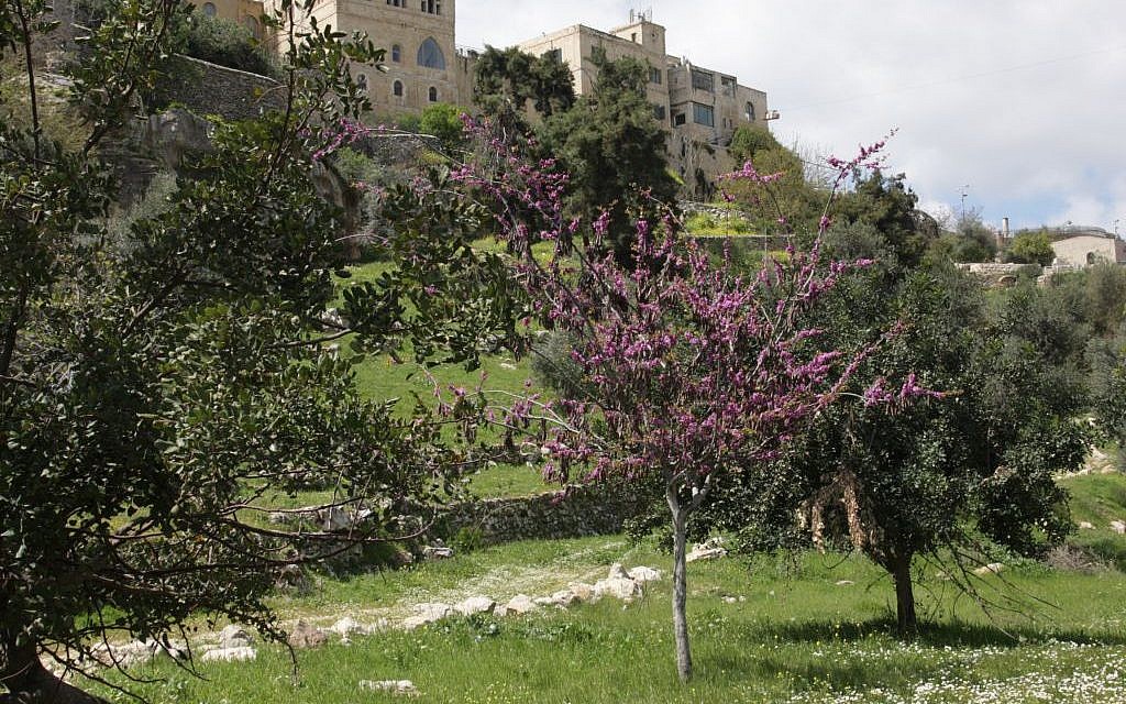 Jerusalem's Hinnom Valley. (Shmuel Bar-Am)