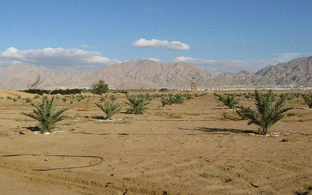 Illustrative: The Arava desert. (Batya Ben Zvi/public domain/via Wikipedia)