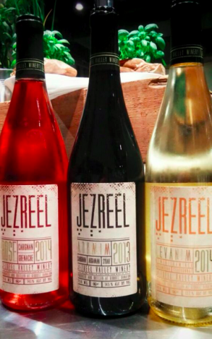 A trio of Jezreel Valley wines, the 2013 Carignon at the center (Courtesy Jezreel Valley)