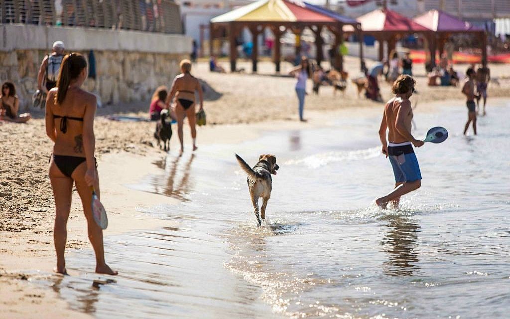 Passover is a fine time to head to the Tel Aviv beaches (Photo credit: Kfir Bolotin)