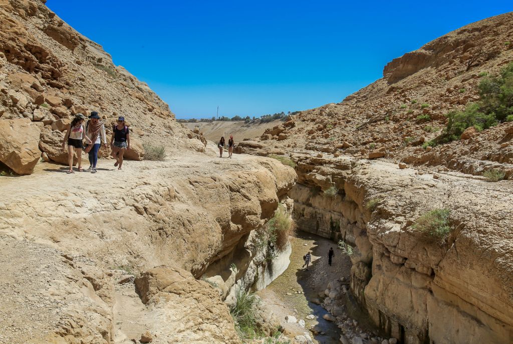 Rescue crews working to recover tourist's body in Ein Gedi | The Times