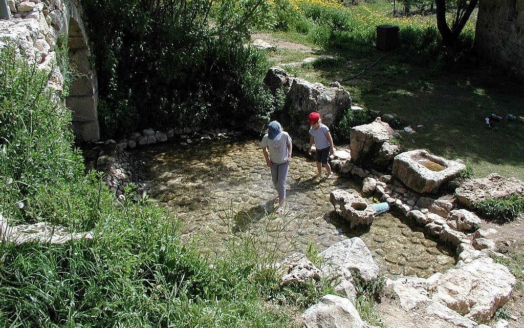 Treading water in the Ein Tzuba spring (photo credit: Shmuel Bar-Am)