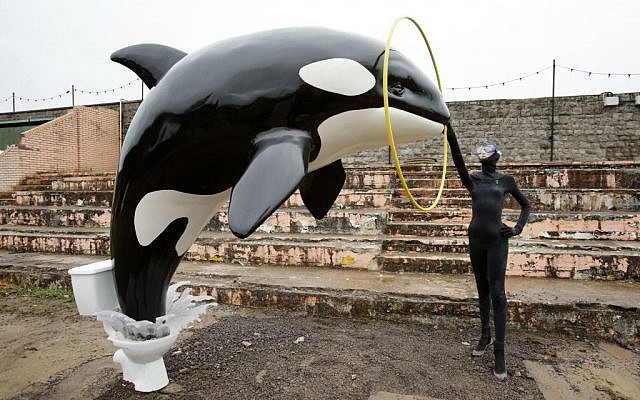 A Banksy piece depicting an orca whale jumping out of a toilet is displayed at Banksy's biggest show to date, entitled 'Dismaland', during a press viewing in Western-super-Mare, Somerset, England, Thursday, August 20, 2015. (Yui Mok/PA Wire via AP)