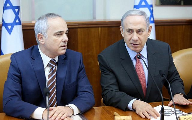 Prime Minister Benjamin Netanyahu (R) and Energy Minister Yuval Steinitz attend the weekly cabinet meeting in Jerusalem on August 16, 2015. (Marc Israel Sellem/POOL)