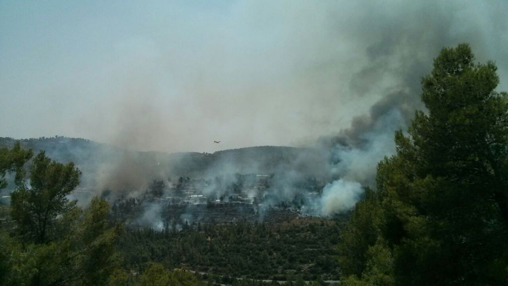 A wildfire rages near the Jerusalem suburb of Even Sapir on Sunday, August 2, 2015. (Gidi Bashan, JNF)