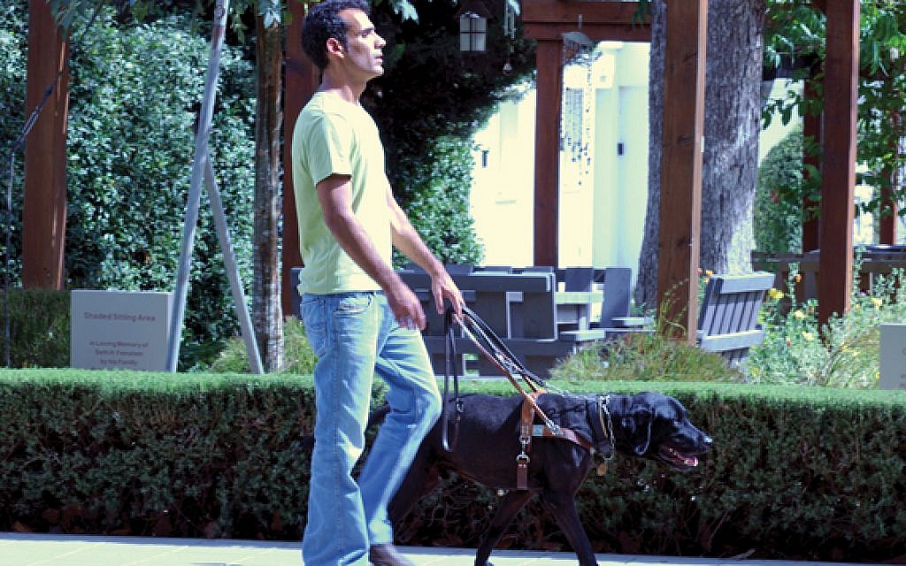 Blinded Israeli veteran Gadi Yarkoni confidently marches forward with his Hebrew-trained guide dog Timmy by his side.