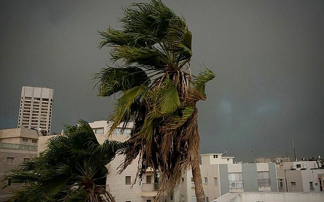 Heavy rain and strong winds as a thunderstorm hits Tel Aviv, on October 25, 2015. (Ben Kelmer/FLASH90)