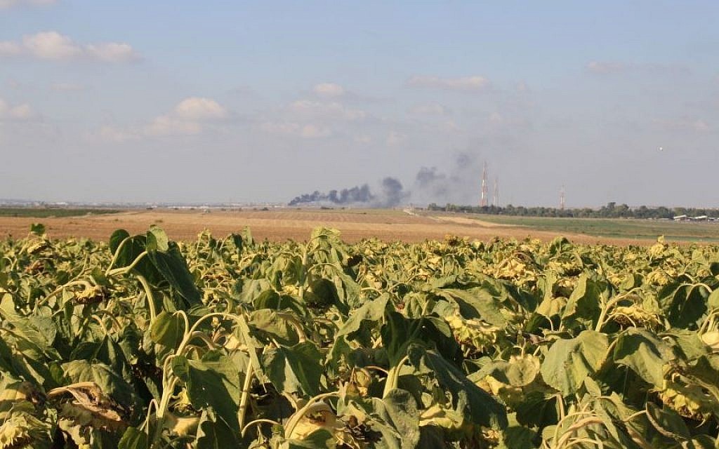The fields of Kibbutz Nahal Oz, on the border of the Gaza Strip, where smoke rises in the distance. (Amir Tibon/Times of Israel)