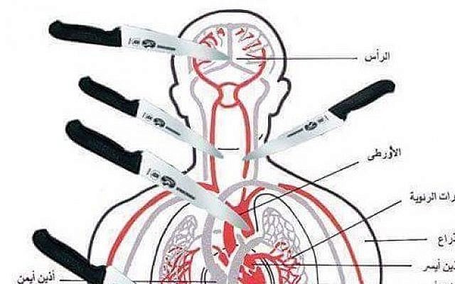 An anatomical chart posted on Facebook by Gazan Zahran Barbah on October 8, 2015, showing which parts of the body to aim for when stabbing a victim. (Courtesy of MEMRI)
