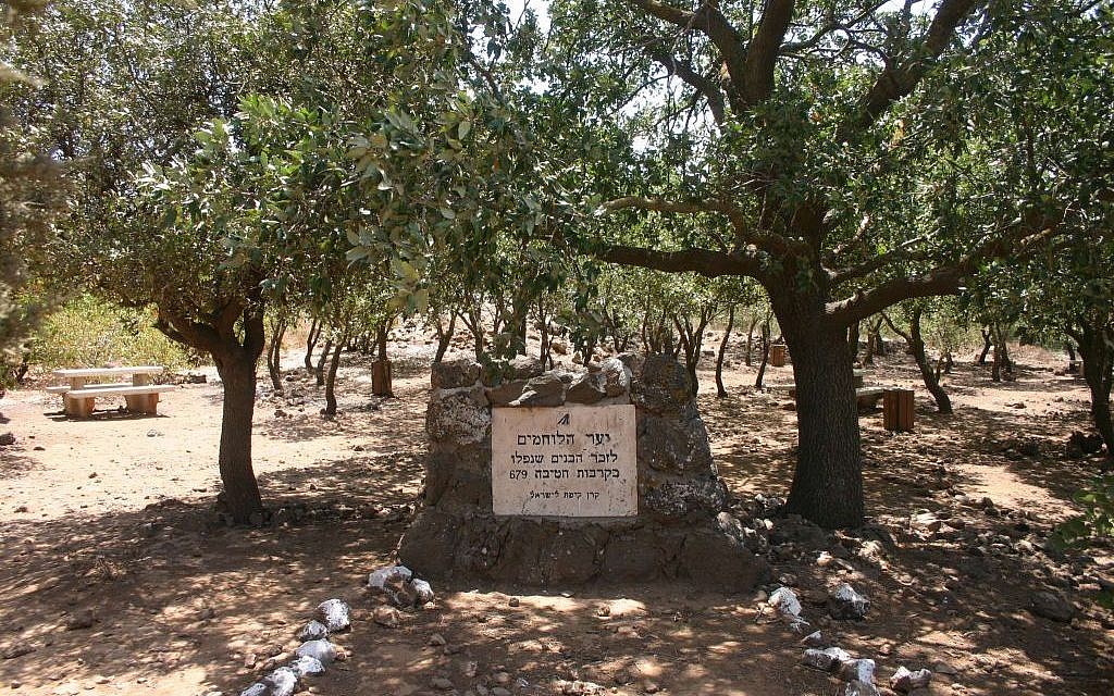 Brigade 679 memorial (Shmuel Bar-Am)