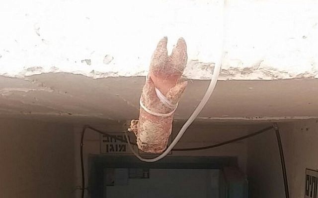 Pig's foot tied to the entrance of a synagogue in Arad, southern Israel, found by police on November 25, 2015. (Israel Police)