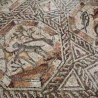 A partial view of a 1,700-year-old Roman-era mosaic floor in Lod, Israel, Monday, Nov. 16, 2015 (AP Photo/Ariel Schalit)