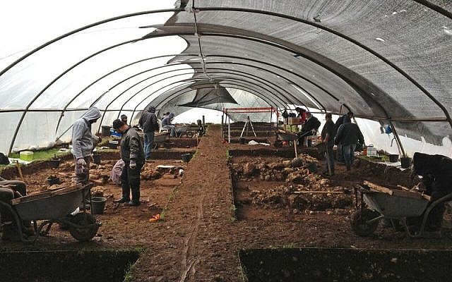 Excavations at Ahihud, in the Lower Galilee, where the oldest domesticated fava beans were found. (Yaron Bibas, Israel Antiquities Authority)