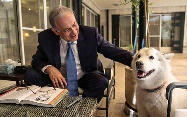 Prime Minister Benjamin Netanyahu with his dog Kaia at the PM's residence in Jerusalem in December, 2015. (Facebook)