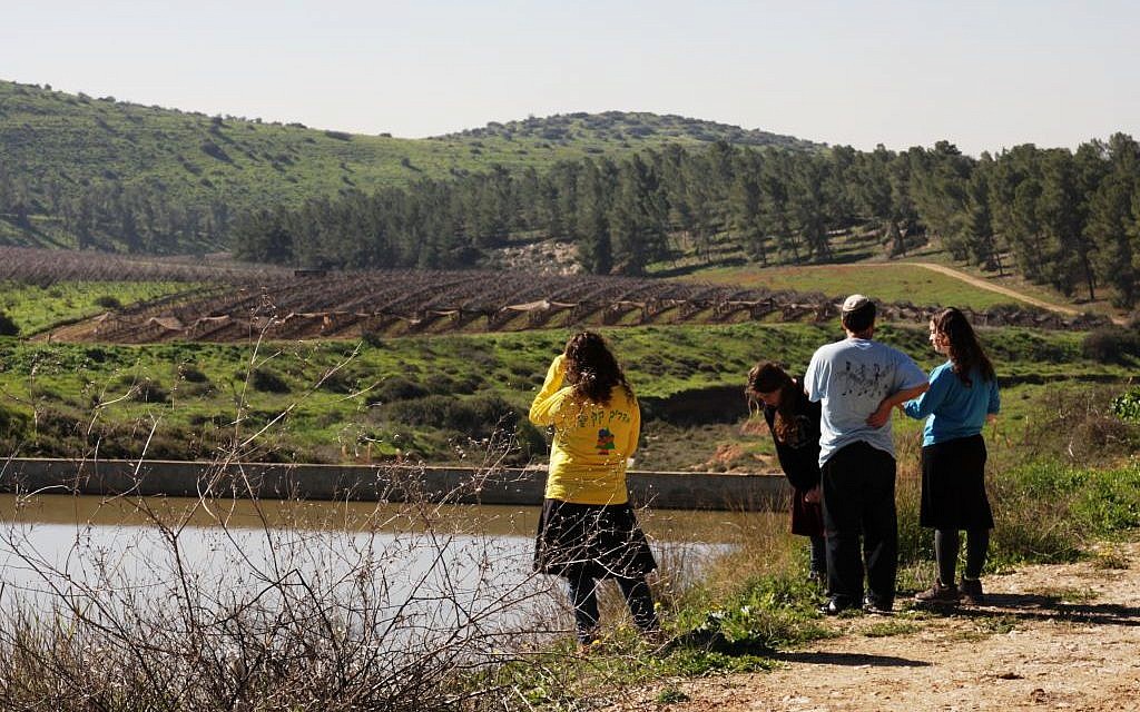 The Adurayim Reservoir (Talila Livshutz)
