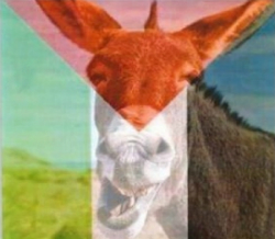 An image created by Palestinian cartoonist Bahaa Yassin showing a donkey combined with the Palestinian flag (Facebook)