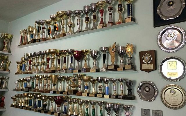 Part of the huge collection of trophies awarded to Myrna Shiboleth and Sha'ar Hagai Kennels (Renee Ghert-Zand/TOI)