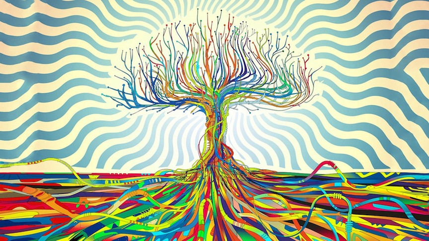 HD tree of wisdom wallpapers