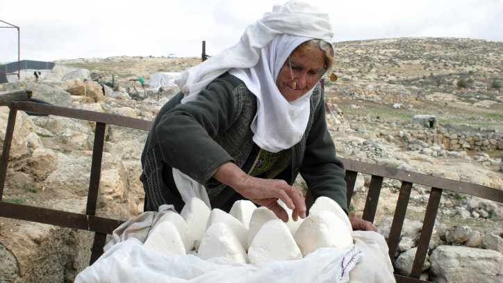 Palestinian Bedouin women from the Ghwein tribe, south of Hebron, make yoghurt in this illustrative photo from February 08, 2008. (Najeh Hashlamoun/Flash 90)