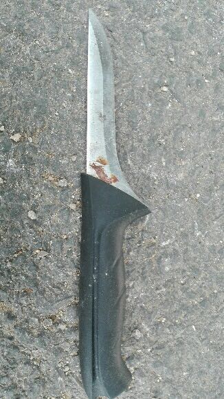 A knife used by a Palestinian woman to stab an Israeli police officer in the shoulder in the West Bank village of Ouja, near Jericho, on March 3, 2016. (Israel Police)