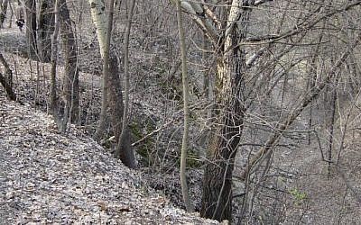 The Babi Yar ravine. (CC BY-SA Mark Voorendt/Wikipedia)
