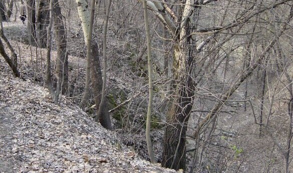 The Babi Yar ravine. (CC BY-SA Mark Voorendt/Wikipedia)