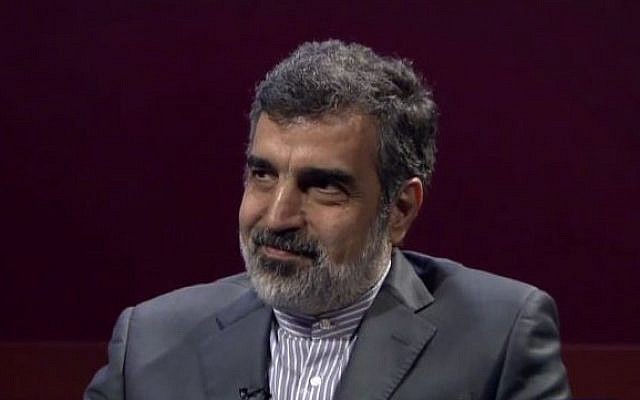 Spokesman of the Atomic Energy Organization of Iran (AEOI) Behrouz Kamalvandi (PressTV News Videos)