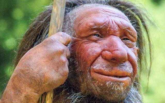 A reconstruction of a Neanderthal man at the Neanderthal Museum in Mettmann, Germany. (Neanderthal Museum)
