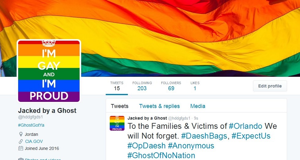 976px x 523px - IS Twitter accounts hacked, filled with gay porn | The Times ...