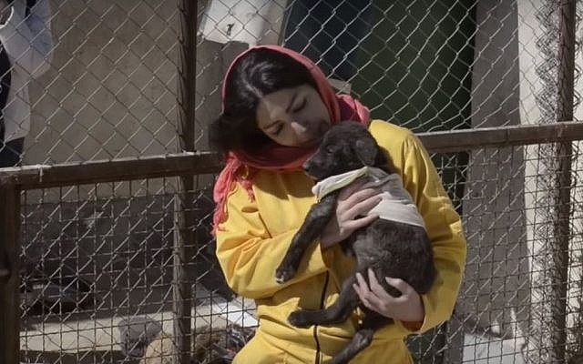 A woman holds a dog at an Iranian dog shelter (YouTube screenshot)