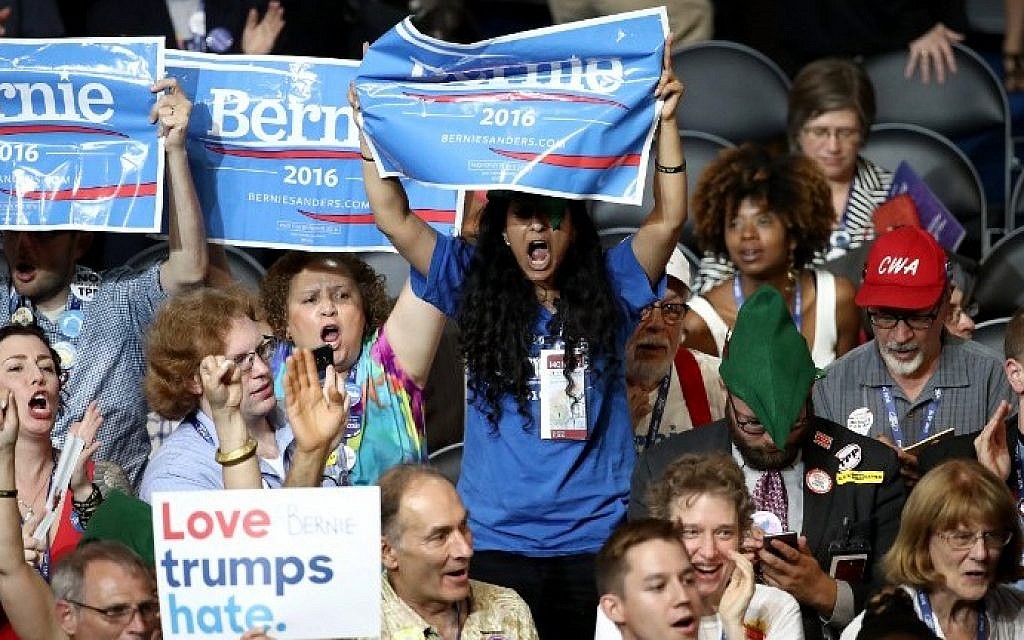 Delegates in support of Sen. Bernie Sanders (I-VT) cheer on the first day of the Democratic National Convention at the Wells Fargo Center, July 25, 2016 in Philadelphia, Pennsylvania. (Win McNamee/Getty Images/AFP)