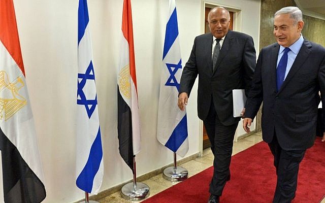 Prime Minister Benjamin Netanyahu meets with Egypt's Foreign Minister Sameh Shoukry at the Prime Minister's Office in Jerusalem, on July 10, 2016 (Haim Zach/GPO)