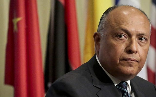 In this May 11, 2016 file photo, Egypt's Foreign Minister Sameh Shoukry listens during a press conference after heading a Security Council meeting on terrorism at UN headquarters. (AP Photo/Bebeto Matthews, File)