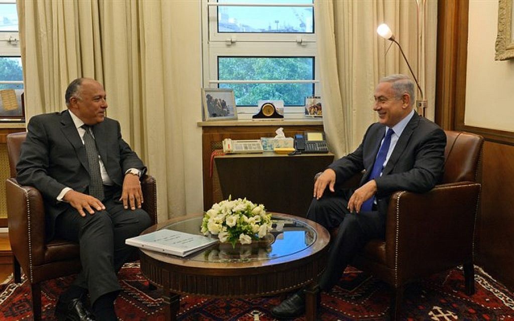Prime Minister Benjamin Netanyahu and Egyptian Foreign Minister Sameh Shoukry meet in Jerusalem on July 10, 2016 (Haim Zach/GPO)