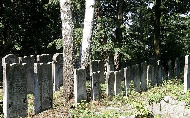 Gravestones at Radomsko's Jewish cemetery (CC-BY SA Bigmac3986/Wikimedia Commons)