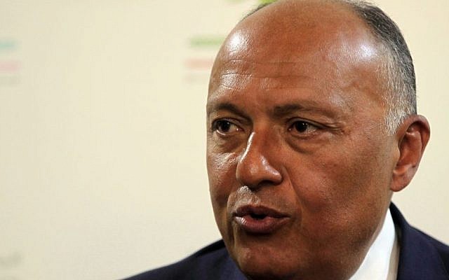 Egyptian Foreign Minister Sameh Shoukry speaks to journalists during a press conference at the Lebanese foreign ministry in Beirut, Lebanon, on Tuesday, August 16, 2016. (AP/Bilal Hussein)