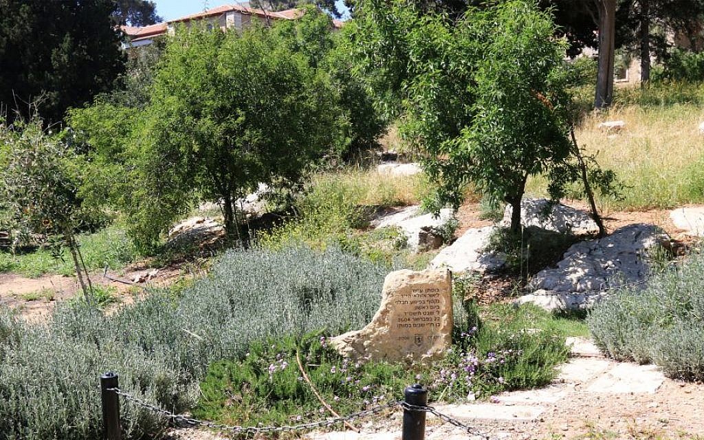 The Azulai Orchard is named for Lior Azulai, an 18-year-old who was killed by a suicide bomber in 2004. (Shmuel Bar-Am)