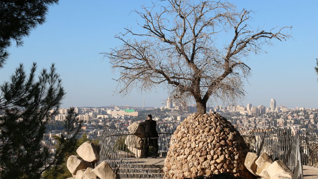 A tree grows from a sculpture designed by a resident of Ramat Rachel at the Yair Overlook on the kibbutz. (Shmuel Bar-Am)