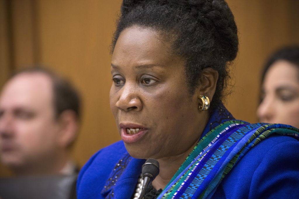Congresswoman cancels Capitol Hill BDS event, denies prior knowlege | The  Times of Israel