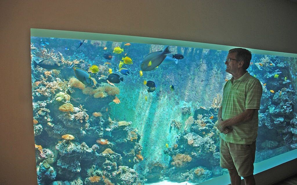 Eli Fruchter standing next to what might be the world's largest home reef aquarium in his living room in Haifa. (Miriam Nahum/Times of Israel)