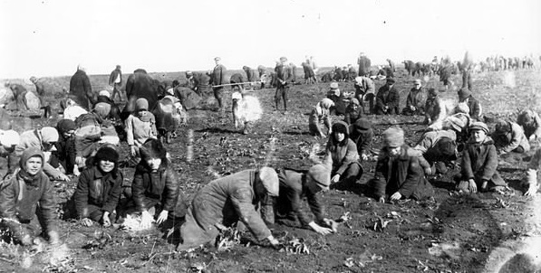 Children dug up frozen potatoes in the field of a collective farm in the village of Udachne during the Soviet-imposed famine in Ukraine, called the Holodomor, in which more than ten-million people perished between 1930-1933 (Public domain)