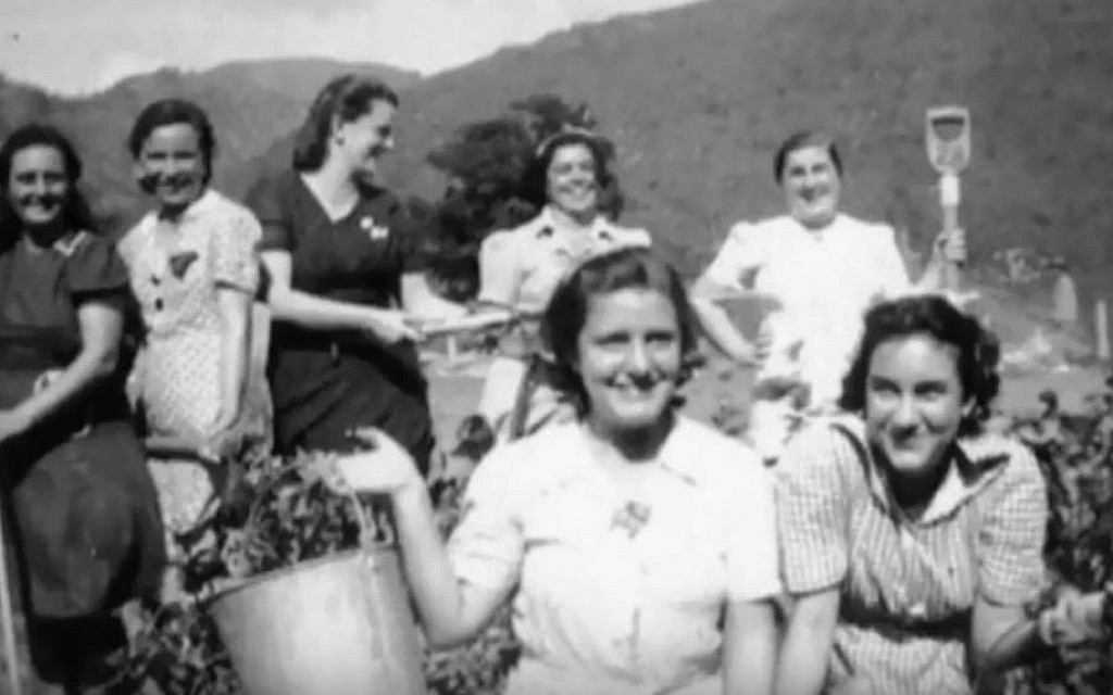 Trinidad did not house the only refugee camps in the Caribbean during WWII. Pictured are residents of Jamaica's 'Gibraltar Camp,' where approximately 300 Polish Jews and 500 Dutch Jews were housed between 1942 and 1944. (YouTube screenshot)