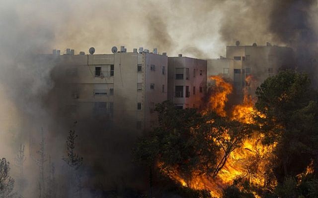 A fire burns in Haifa, Israel, Thursday, November 24, 2016. (AP Photo/Ariel Schalit)