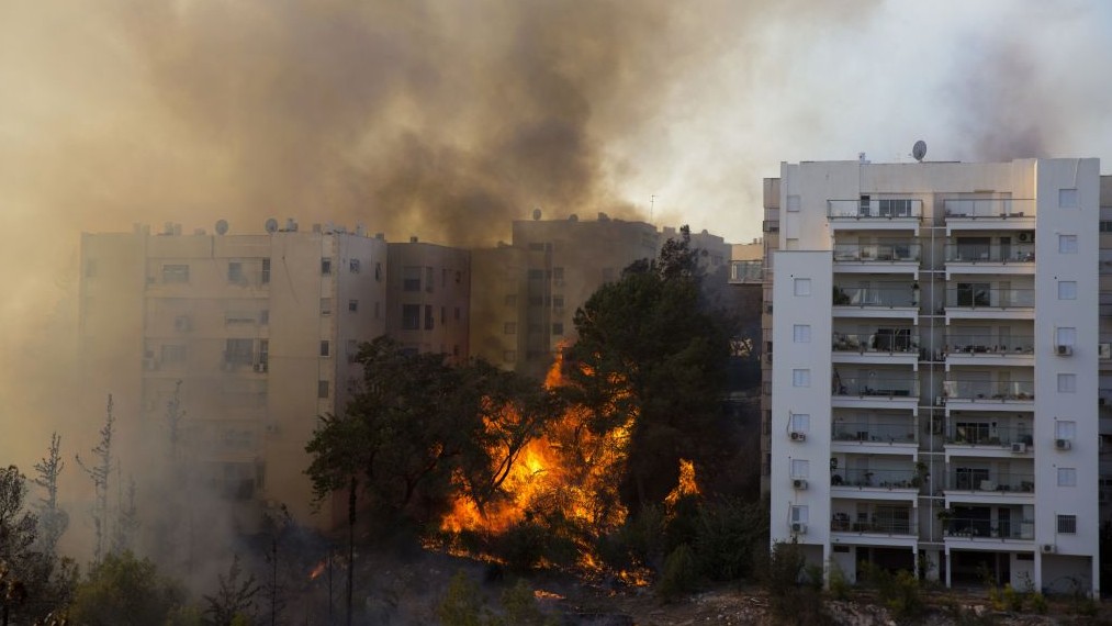 A picture taken on November 24, 2016 shows a bushfire raging in the northern Israeli port city of Haifa. Hundreds of Israelis fled their homes on the outskirts of the country's third city Haifa with others trapped inside as firefighters struggled to control raging bushfires, officials said. (AFP PHOTO / Jack GUEZ)