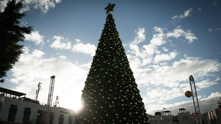 The 17-meter (55-foot) Christmas Tree in Manger Square in Bethlehem, on November 31, 2015, as the city prepares for the Christmas season and influx of tourists in late December (Sebi Berens/Flash90).